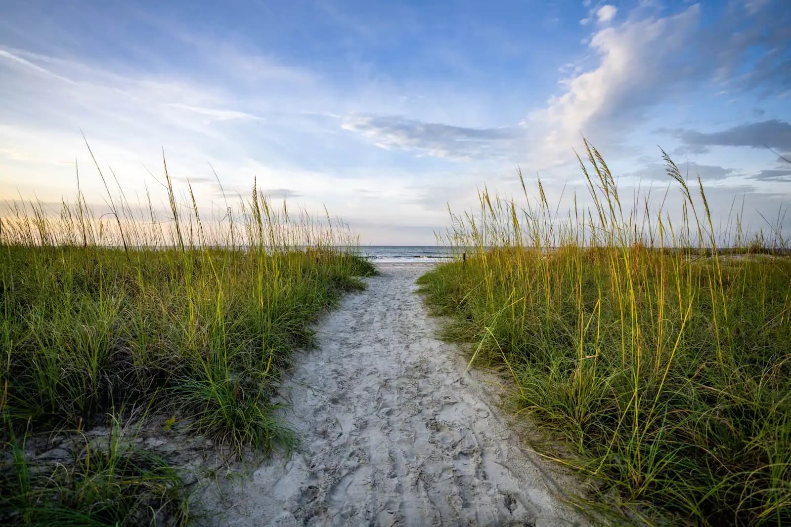 A sand path cut through sea oats and dune grass leading down to an Atlantic beach